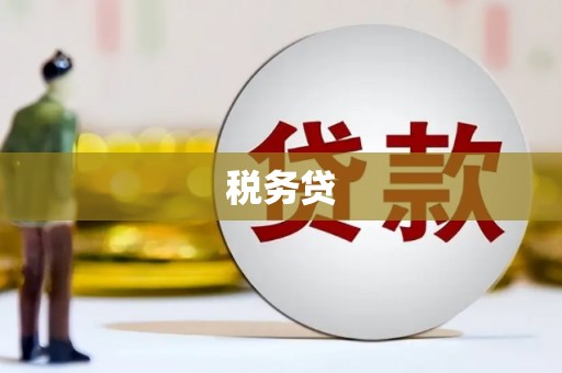 瓜州税务贷