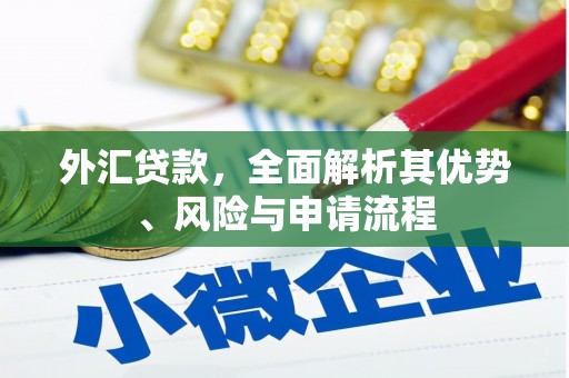 瓜州外汇贷款，全面解析其优势、风险与申请流程