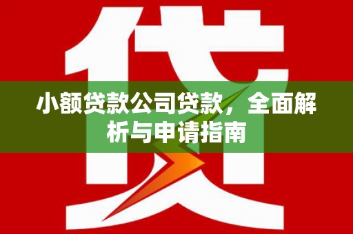 瓜州小额贷款公司贷款，全面解析与申请指南