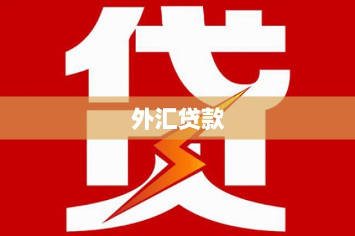 瓜州外汇贷款