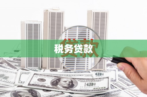 瓜州税务贷款