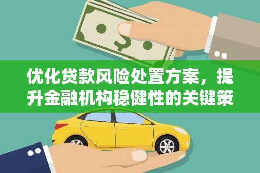 瓜州优化贷款风险处置方案，提升金融机构稳健性的关键策略