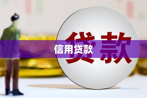 瓜州信用贷款