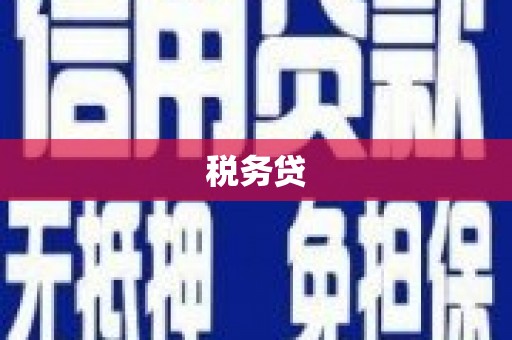 瓜州税务贷