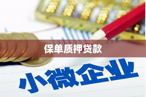 瓜州保单质押贷款