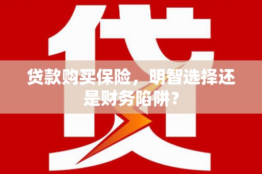 瓜州贷款购买保险，明智选择还是财务陷阱？