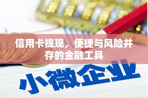 瓜州信用卡提现，便捷与风险并存的金融工具