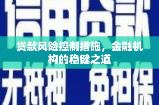 瓜州贷款风险控制措施，金融机构的稳健之道