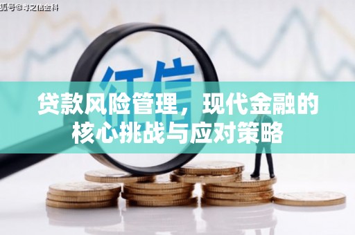 瓜州贷款风险管理，现代金融的核心挑战与应对策略