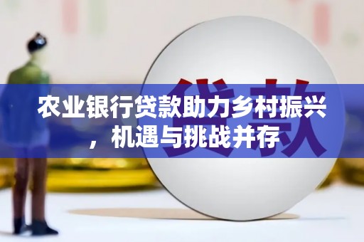 瓜州农业银行贷款助力乡村振兴，机遇与挑战并存