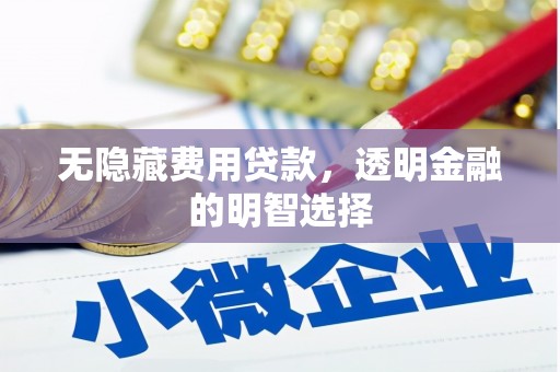 瓜州无隐藏费用贷款，透明金融的明智选择