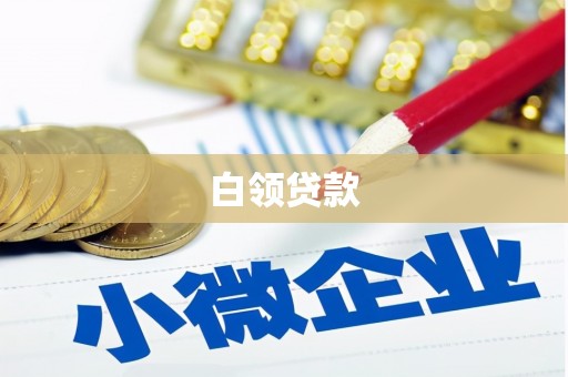 瓜州白领贷款