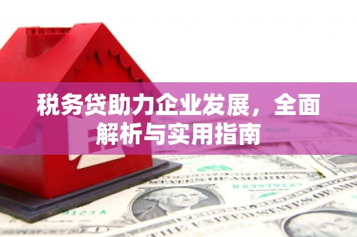 瓜州税务贷助力企业发展，全面解析与实用指南