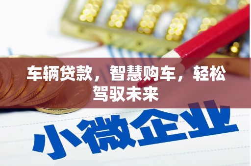 瓜州车辆贷款，智慧购车，轻松驾驭未来
