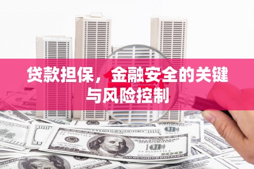 瓜州贷款担保，金融安全的关键与风险控制