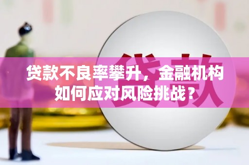 瓜州贷款不良率攀升，金融机构如何应对风险挑战？
