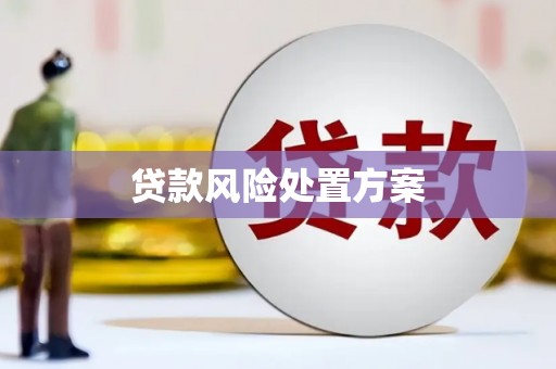 瓜州贷款风险处置方案