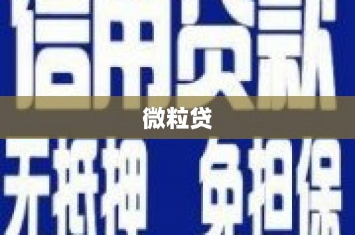 瓜州微粒贷