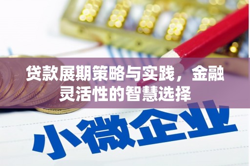瓜州贷款展期策略与实践，金融灵活性的智慧选择