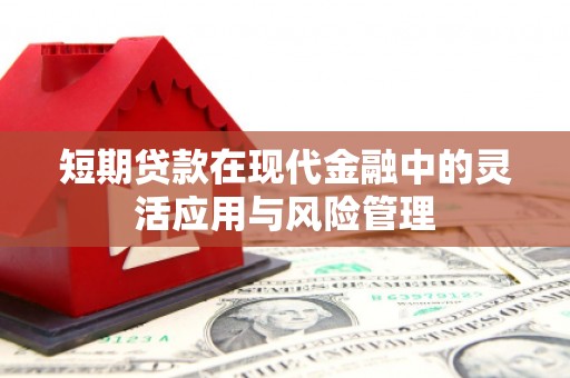 瓜州短期贷款在现代金融中的灵活应用与风险管理