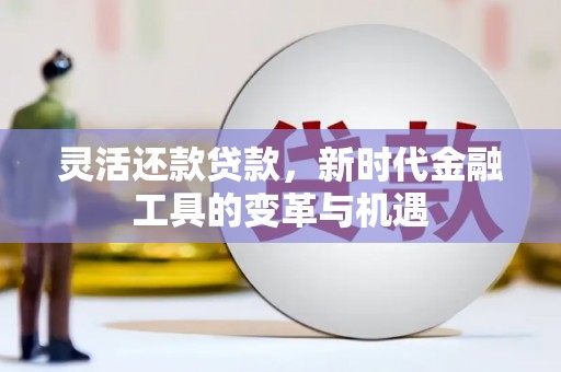 瓜州灵活还款贷款，新时代金融工具的变革与机遇